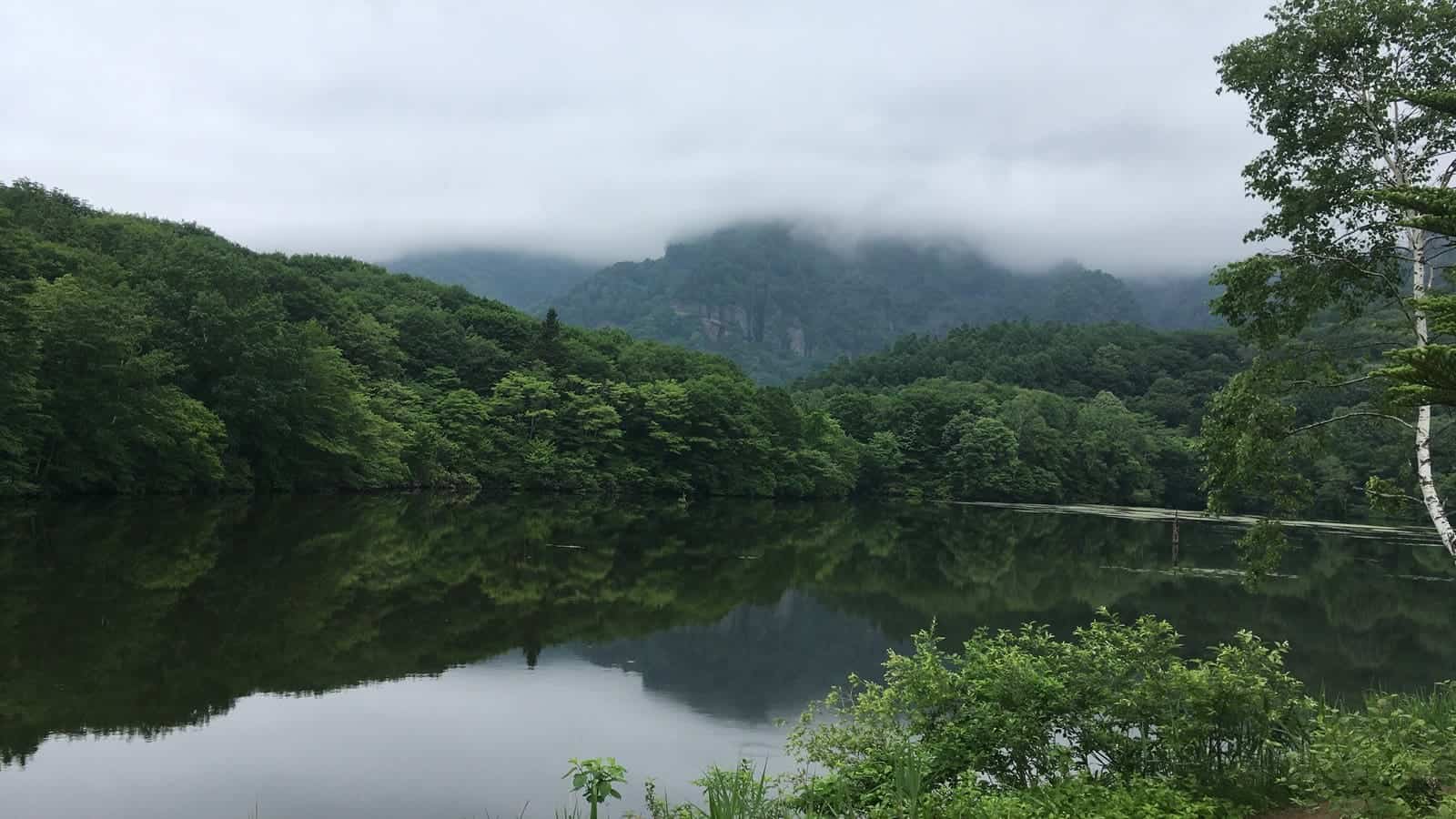 Hidden Gems in Japan With Kids